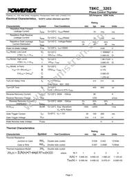 T8KC603203DH Datasheet Page 3