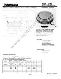 TC20422402DH Datasheet Cover