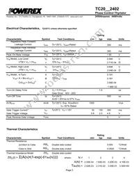 TC20422402DH Datasheet Page 3