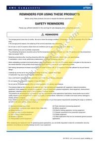 TCE0806G-900-2P Datasheet Page 2