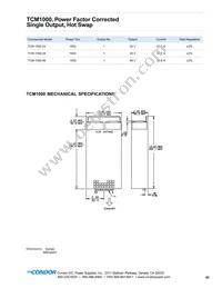 TCM-1000-48G Datasheet Page 2