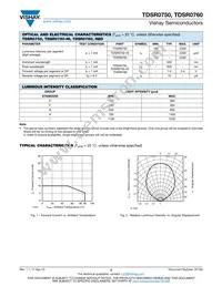 TDSR0750-HI Datasheet Page 2