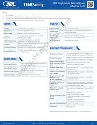 TE60A1603N01 Datasheet Page 2