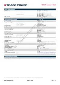 TES 2-2422M Datasheet Page 3