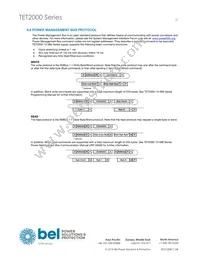 TET2000-12-086NA Datasheet Page 19