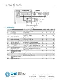 TET4000-48-069RA Datasheet Page 7