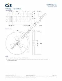 TFPMN1V32K7680R Datasheet Page 4