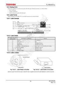 TL1WK-NT1 Datasheet Page 15