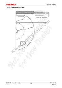 TL3GB-DW1 Datasheet Page 13