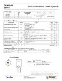 TMA166B-L Datasheet Page 2