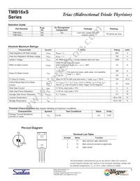 TMB166S-L Datasheet Page 2