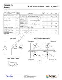 TMB166S-L Datasheet Page 3