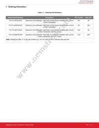 TS1110-20ITQ1633T Datasheet Page 2