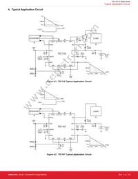 TS1110-20ITQ1633T Datasheet Page 17