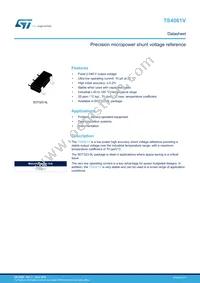 TS4061VIBT-205 Datasheet Cover