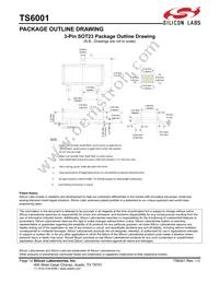 TS6001BIG325T Datasheet Page 12