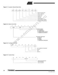 TS68882VR25 Datasheet Page 20