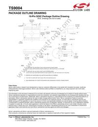 TS9004ISN16T Datasheet Page 12