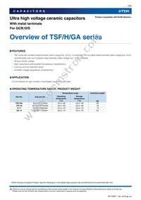 TSF-40C Datasheet Page 3