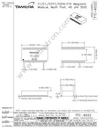 TTC-6022 Datasheet Page 2