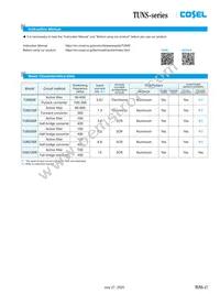 TUNS700F48-P Datasheet Page 17