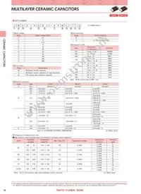 TVS042CG100JC-FW Datasheet Page 2
