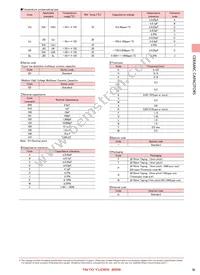 TVS042CG100JC-FW Datasheet Page 3
