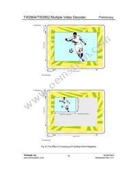 TW2802-FA Datasheet Page 19