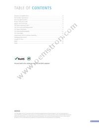 TYS60283R3N-10 Datasheet Page 3