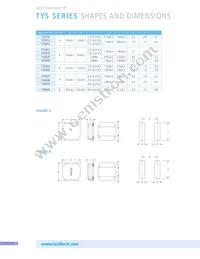 TYS60283R3N-10 Datasheet Page 6