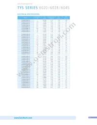 TYS60283R3N-10 Datasheet Page 13