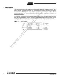 U4090B-PFNY Datasheet Page 2