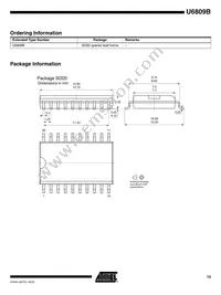 U6809B-MFL Datasheet Page 15