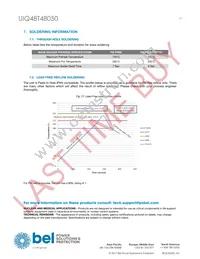 UIQ48T48050-NDA0G Datasheet Page 17