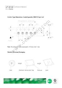 VAOL-S19337R6GHBH Datasheet Page 9