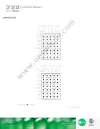 VAOM-C20571G-BW/40 Datasheet Page 4
