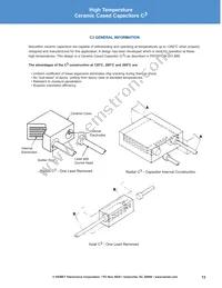 VRR50V103KGS Datasheet Page 13