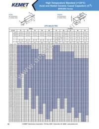 VRR50V103KGS Datasheet Page 16