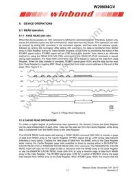 W29N04GVSIAA Datasheet Page 17