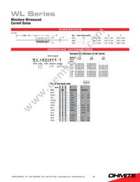 WLCR100FET Datasheet Page 2