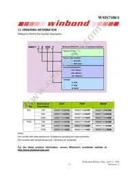 WMS7101100P Datasheet Page 21