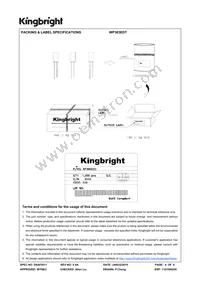 WP383EDT Datasheet Page 4