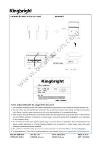 WP383HDT Datasheet Page 4