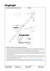 WP63GT Datasheet Page 4