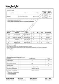 WP63SRT Datasheet Page 2