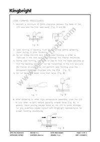 WP7104LSRD Datasheet Page 6