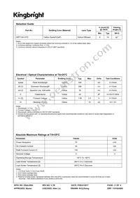 WP710A10YD Datasheet Page 2