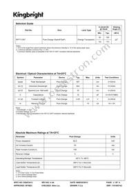 WP7113NT Datasheet Page 2