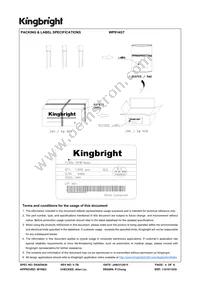 WP914GT Datasheet Page 4