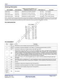 X9521V20I-A Datasheet Page 2